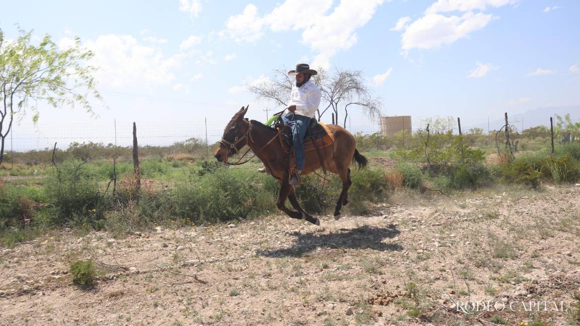 Más de 150 jinetes se suman a cabalgata en Arteaga para celebrar 20 años de Brío Natural Más de 150 jinetes se suman a cabalgata en Arteaga para celebrar 20 años de Brío Natural