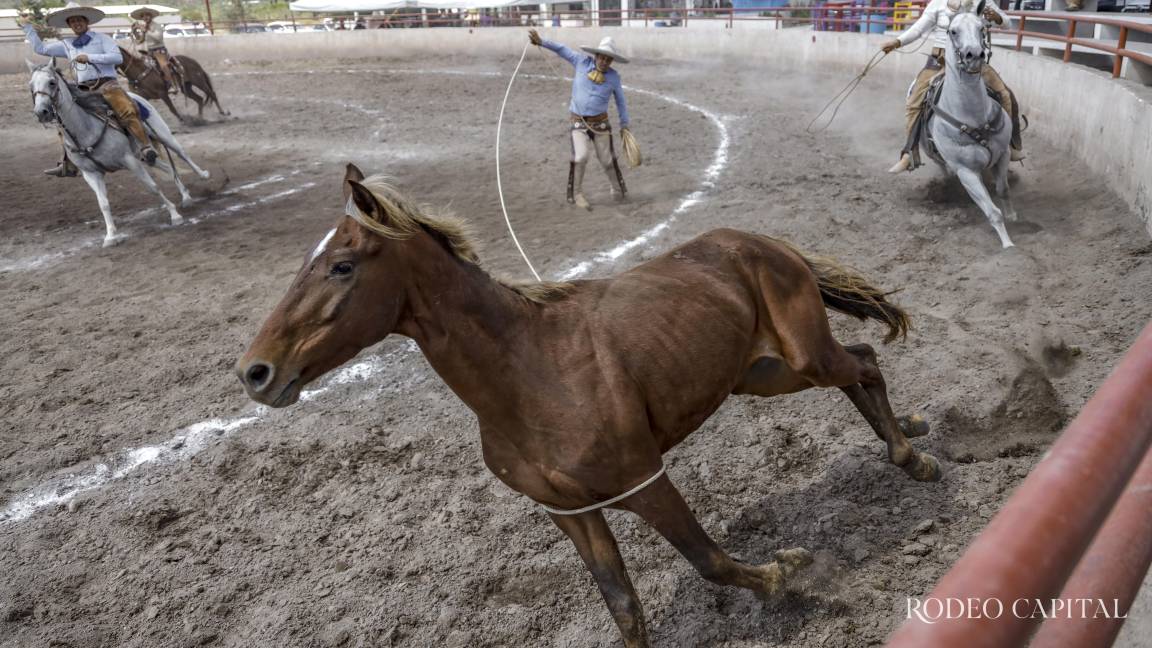 Concluyen etapas de Circuito Charro Coahuilense Concluyen etapas de Circuito Charro Coahuilense