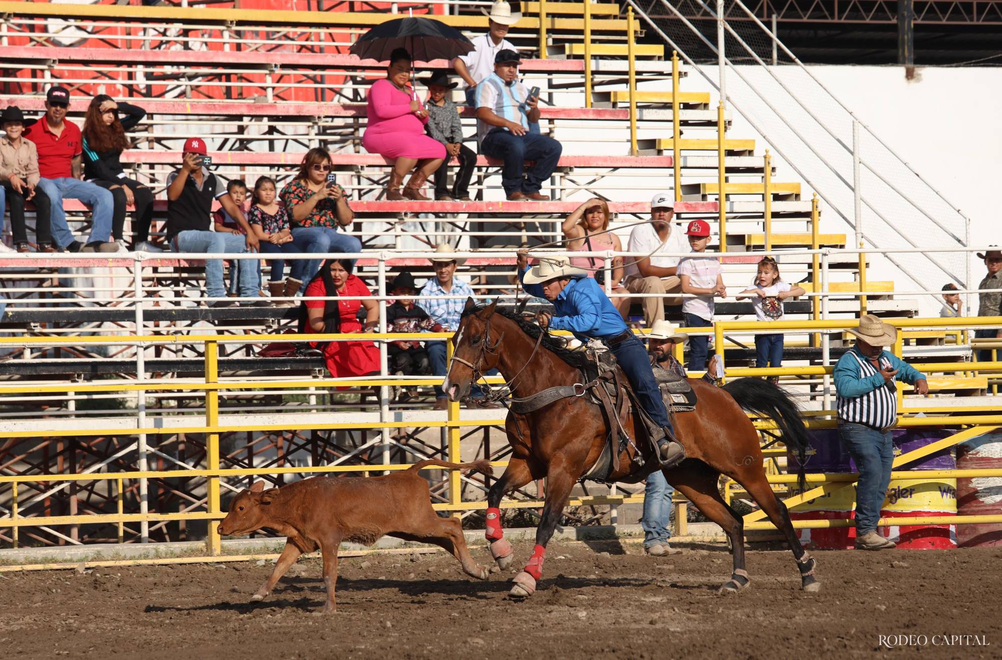 Rodeo Día del Niño: celebran con talento y competencia $!Rodeo Día del Niño: celebran con talento y competencia