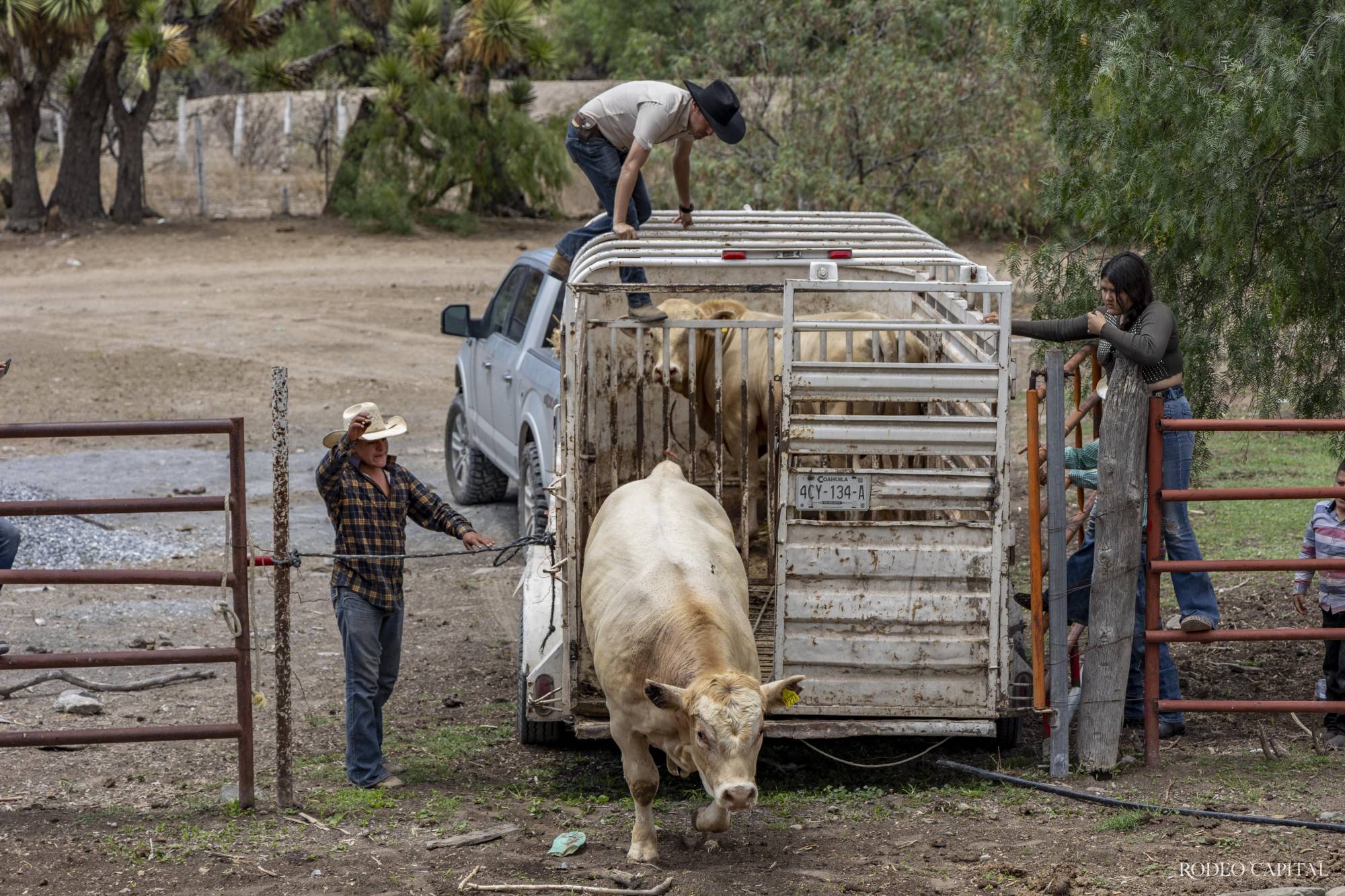 La historia de la hacienda se remonta a 1850, cuando se sostenía con una plantilla de hasta 100 trabajadores. $!La historia de la hacienda se remonta a 1850, cuando se sostenía con una plantilla de hasta 100 trabajadores.