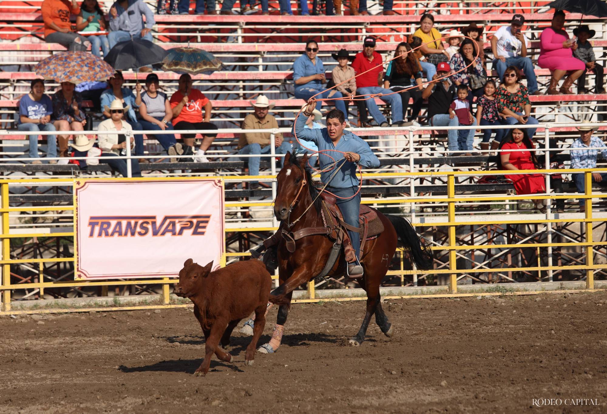 Rodeo Día del Niño: celebran con talento y competencia $!Rodeo Día del Niño: celebran con talento y competencia