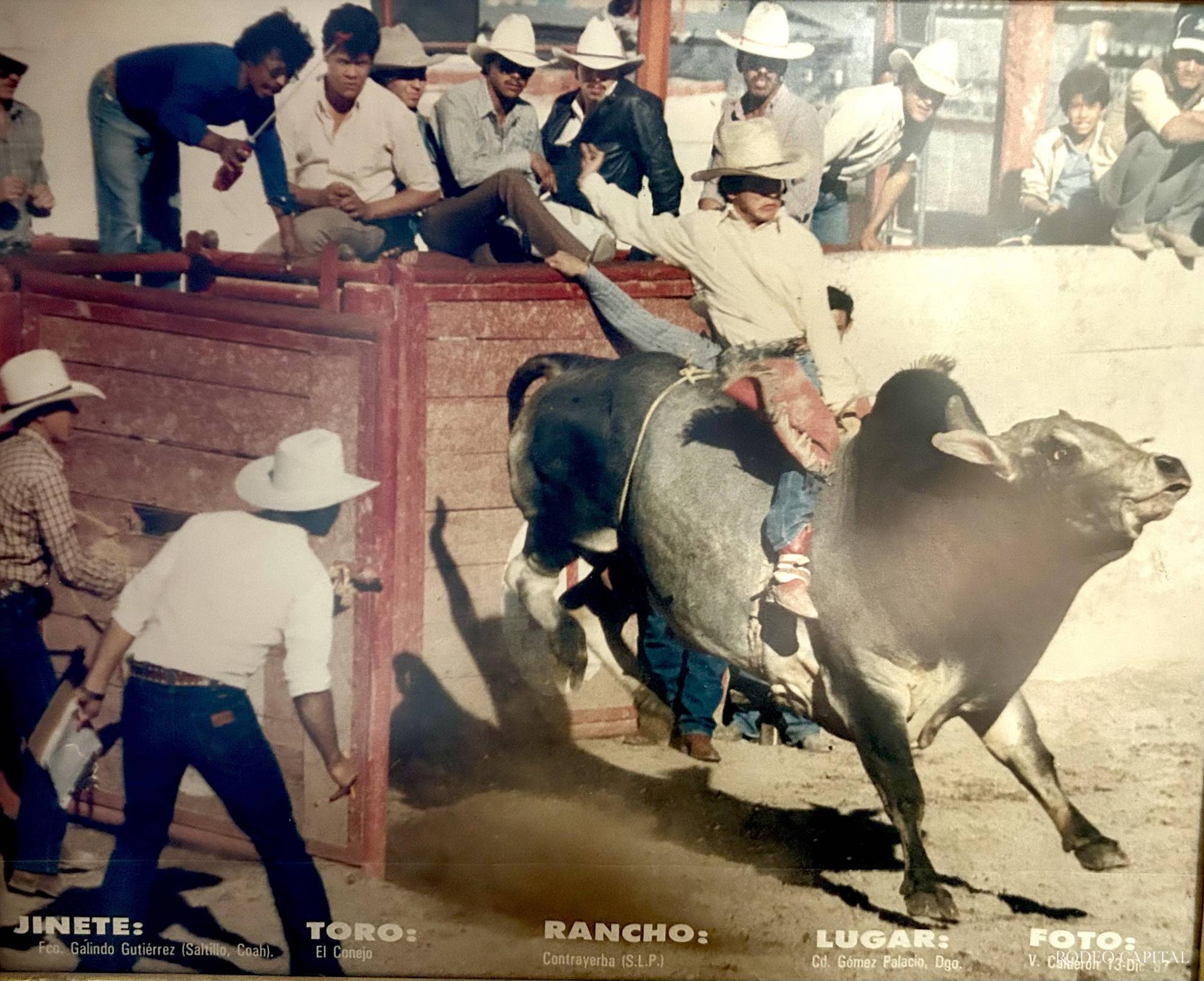 La tribu del polvo: Paco Galindo, de jinete de toros a juez internacional $!La tribu del polvo: Paco Galindo, de jinete de toros a juez internacional