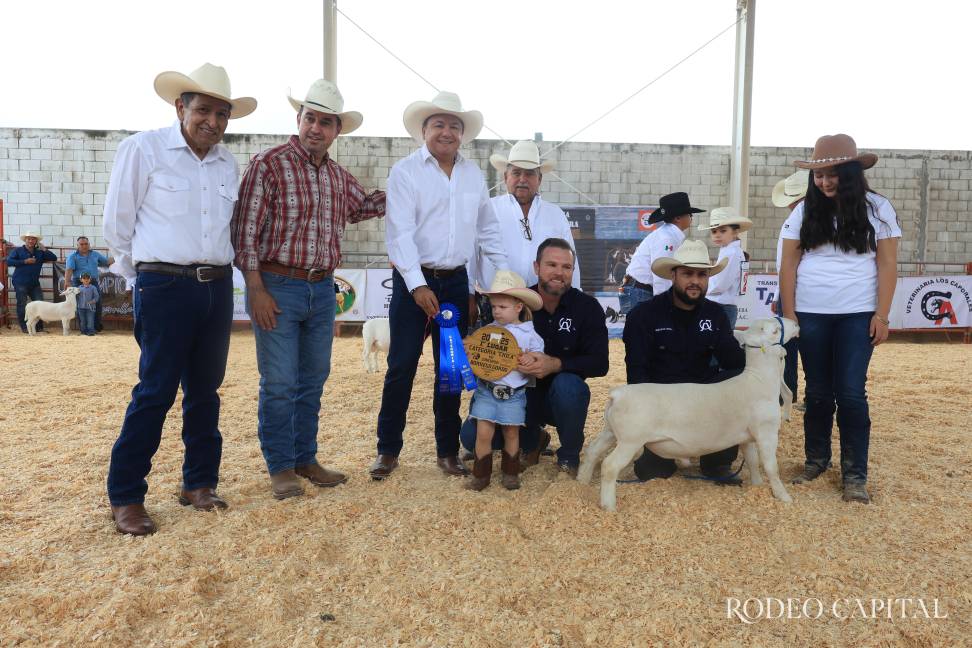 El certamen Borrego Gordo incluyó ejemplares de tamaño chico, mediano, grande y extragrande. $!El certamen Borrego Gordo incluyó ejemplares de tamaño chico, mediano, grande y extragrande.