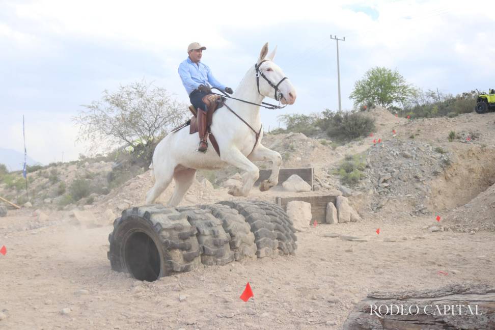 Lusitanos Capellanía se hizo presente en la carrera de resistencia de mulas. $!Lusitanos Capellanía se hizo presente en la carrera de resistencia de mulas.