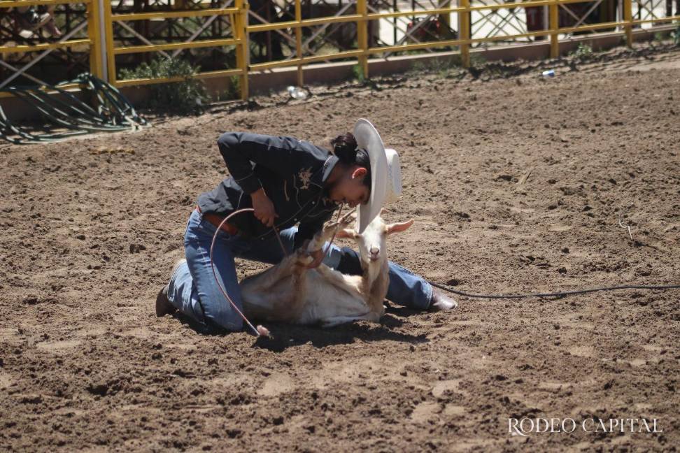¿Rodeo femenino?: Las disciplinas de la mujer a caballo $!¿Rodeo femenino?: Las disciplinas de la mujer a caballo