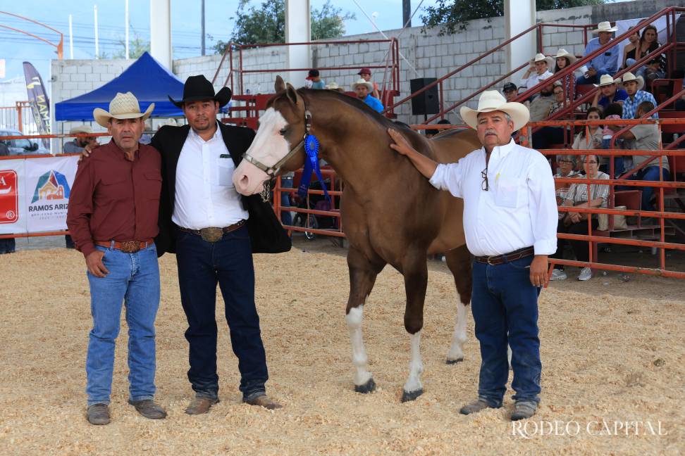 Yeguas y Caballos Cuarto de Milla también fueron premiados por sus cualidades. $!Yeguas y Caballos Cuarto de Milla también fueron premiados por sus cualidades.