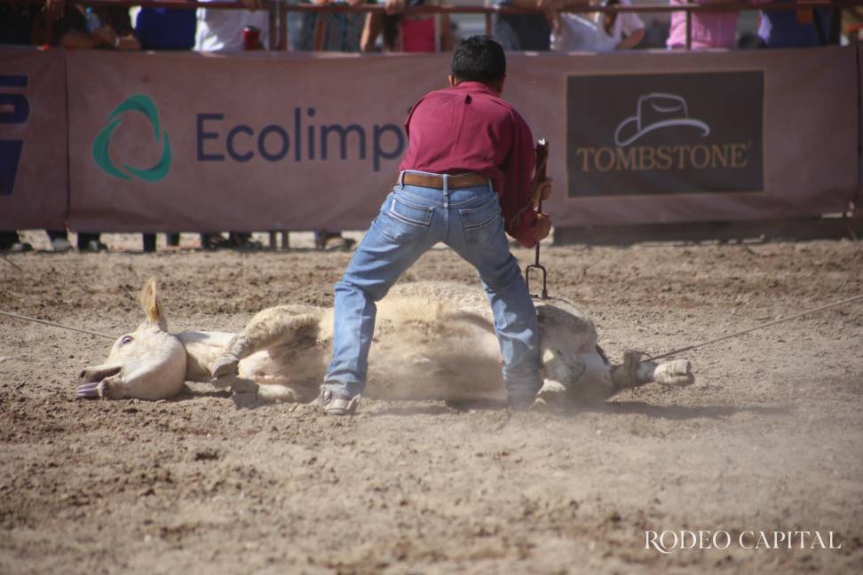 17 equipos, conformados de tres vaqueros, se hicieron presentes en el ranch roping, para demostrar sus habilidades en el ruedo. $!17 equipos, conformados de tres vaqueros, se hicieron presentes en el ranch roping, para demostrar sus habilidades en el ruedo.
