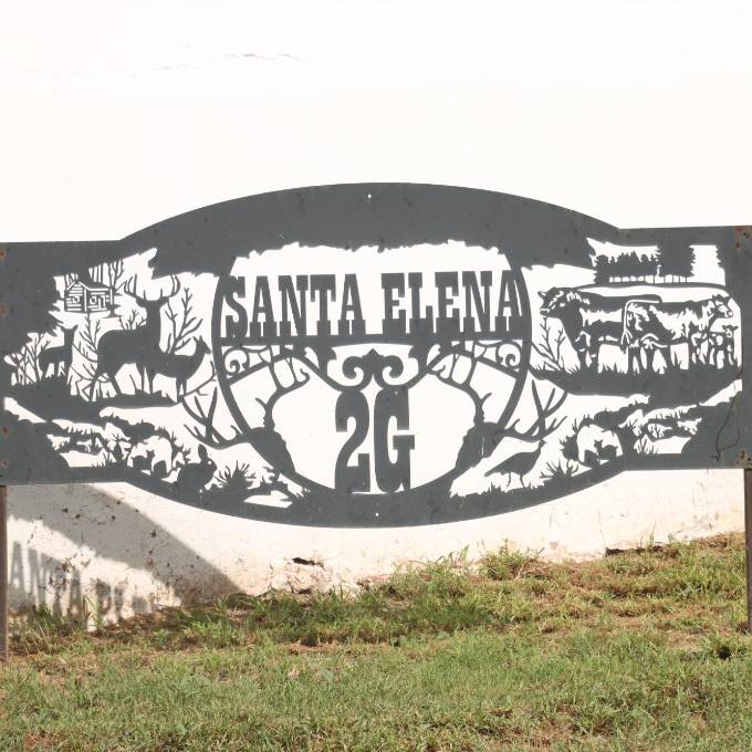El ganado que se cría en Santa Elena es angus de registro y comercial.