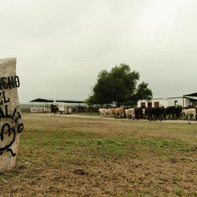 El Jaralito es uno de los ranchos más importantes de Múzquiz.