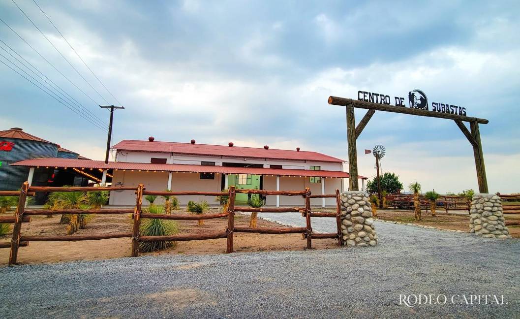 $!Los centros de subasta reactivan la dinámica comercial y ofrecen precios justos a los productores.