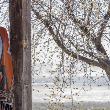 Patti Finan, al frente de Ganadería Cimarrón, lidera con la serenidad de quien conoce la tierra y honra un legado centenario. FOTOS: OMAR SAUCEDO