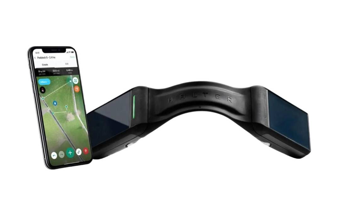 $!Cercado virtual en ganadería: cómo los collares GPS revolucionan el manejo del hato y la conservación del campo