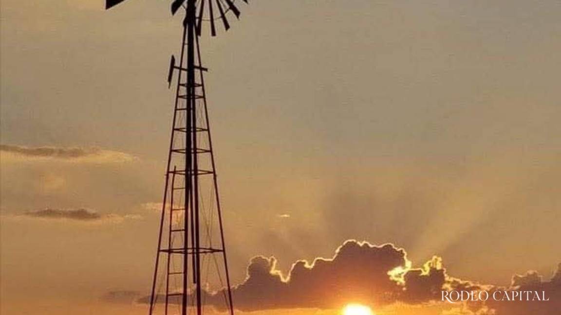 Pulso Ganadero: Cuando la vida te llama de regreso al rancho