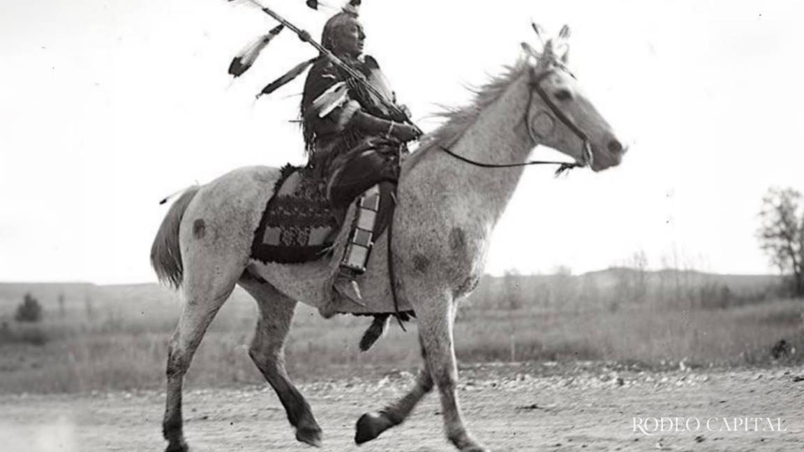 Nuestros Expertos: Sunkáwakan, el perro sagrado