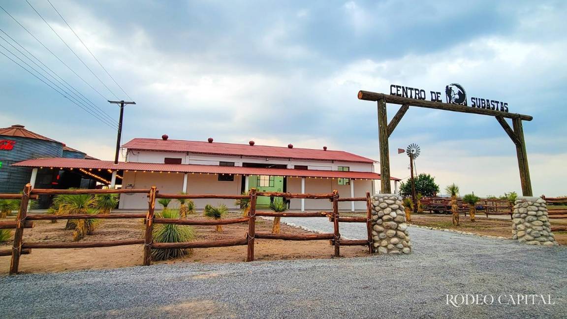 Entre la sequía y la esperanza: El renacer de la ganadería en Coahuila