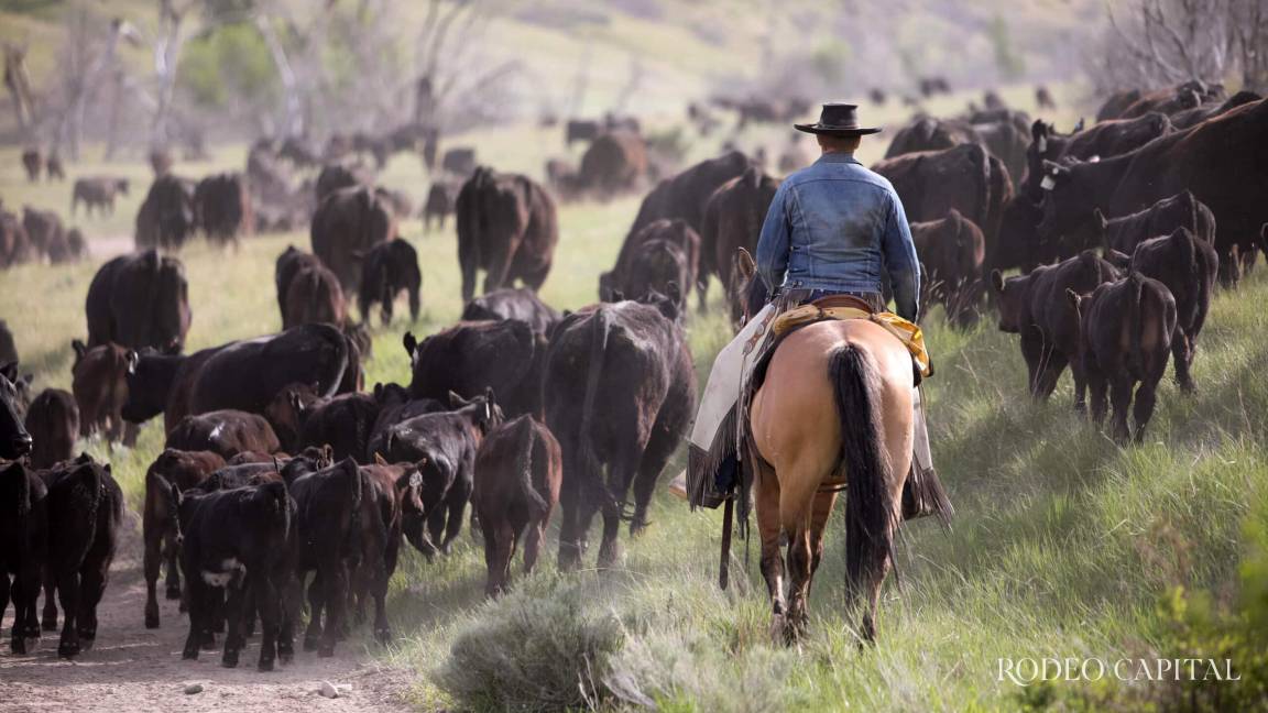 Botas, sombrero y tradición: ¡Feliz Día del Vaquero!