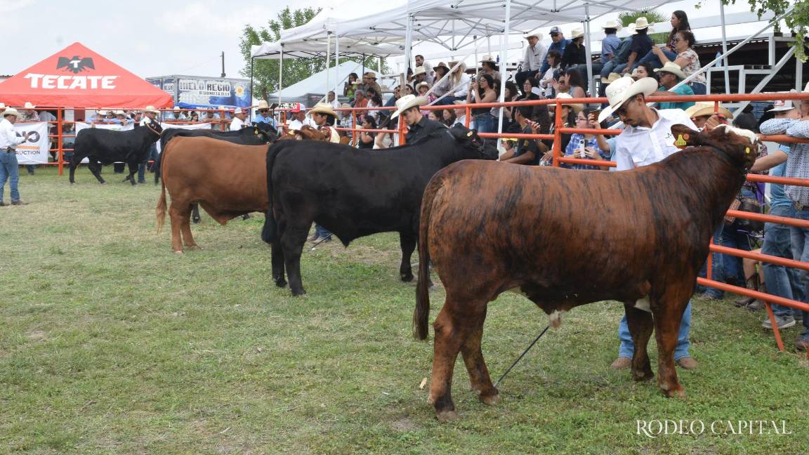 Invitan a Expoasis 2026 en Múzquiz: habrá concurso de Novillo Gordo, subasta de ganado, cabalgata y rodeo