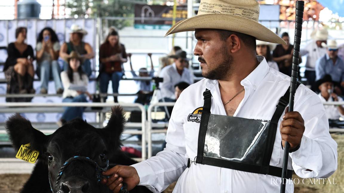 Pulso Ganadero: La mirada del ganadero, donde todo comienza
