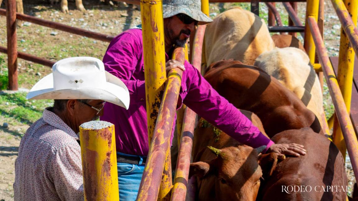 Pulso Ganadero: El precio de sostener un legado
