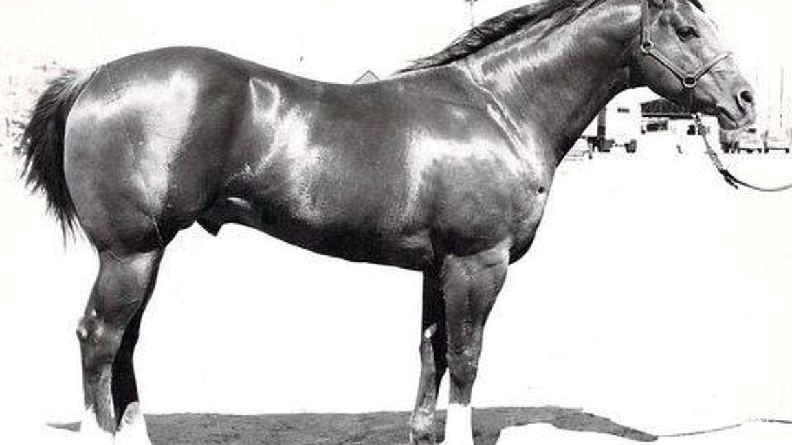 Caballos Leyenda: Skipper W, un linaje que hizo historia