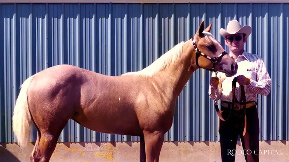 Diamonds Sparkle: la yegua que dejó una huella imborrable en la historia del caballo cuarto de milla