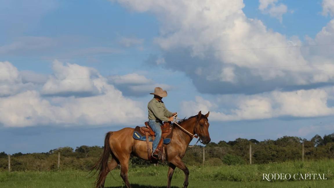 Juan Vendrell: El señor de los caballos