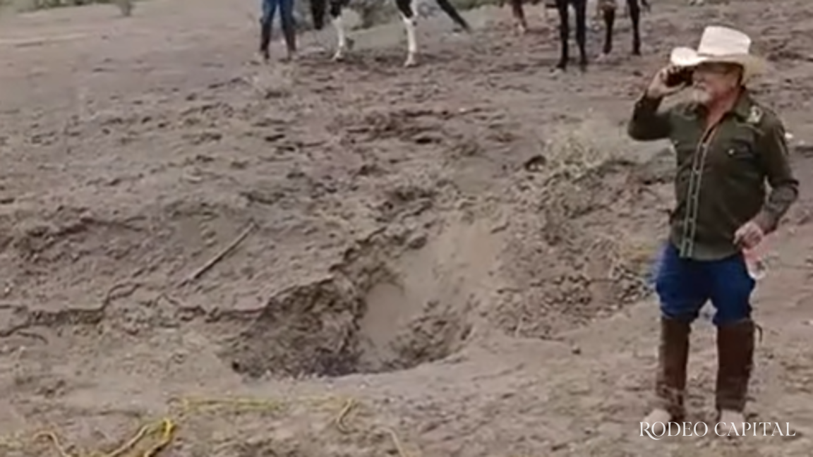 Muere yegua al caer a socavón durante Cabalgata en Viesca