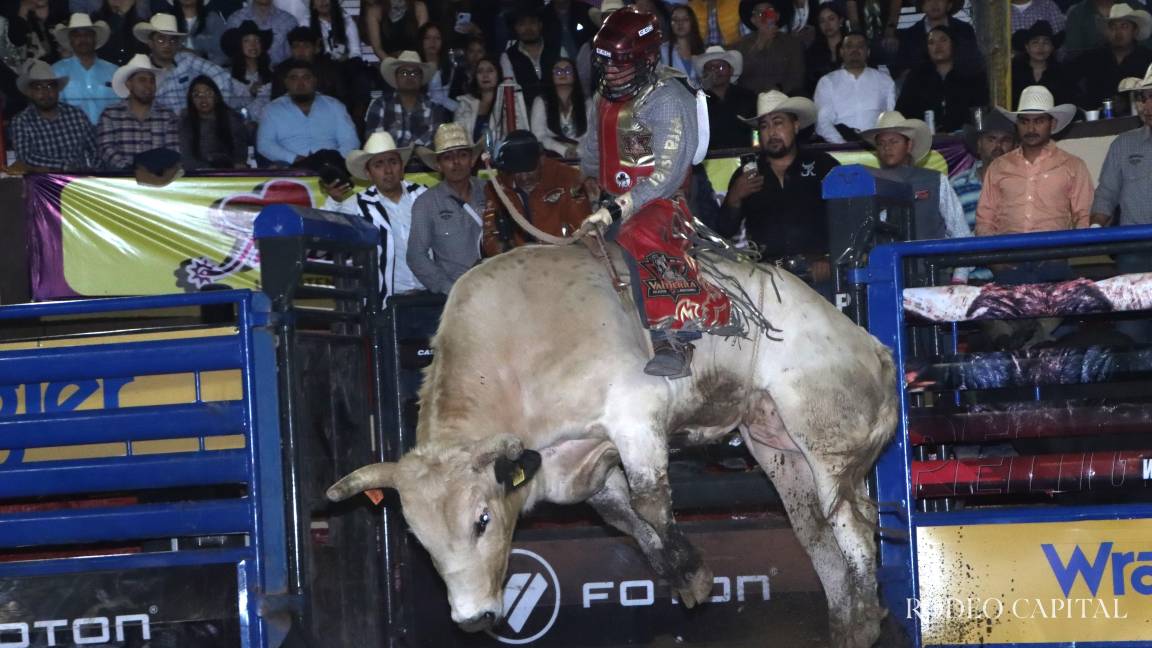 Alfredo Ruvalcaba: En los cuernos de Cat Bird