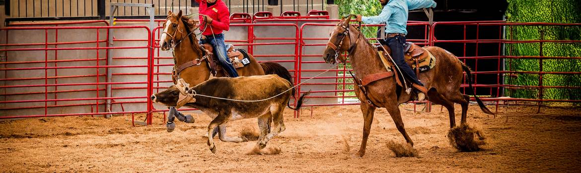La experiencia acumulada durante años de competencia, hoy Aldo Garibay la convierte en consejos, técnica y disciplina para nuevas generaciones de vaqueros. FOTOS: CORTESÍA ALDO GARIBAY