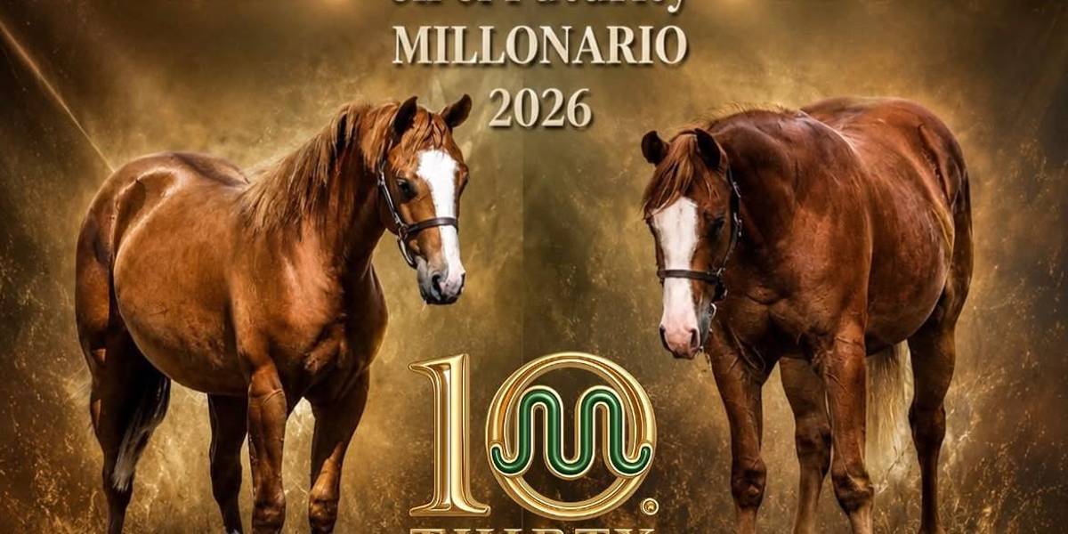 Los ejemplares de Caballos La Paloma ganaron cuarto y quinto lugar en el Caladero Futurity 2026, una de las mejores competencias de élite ecuestre en el país.
