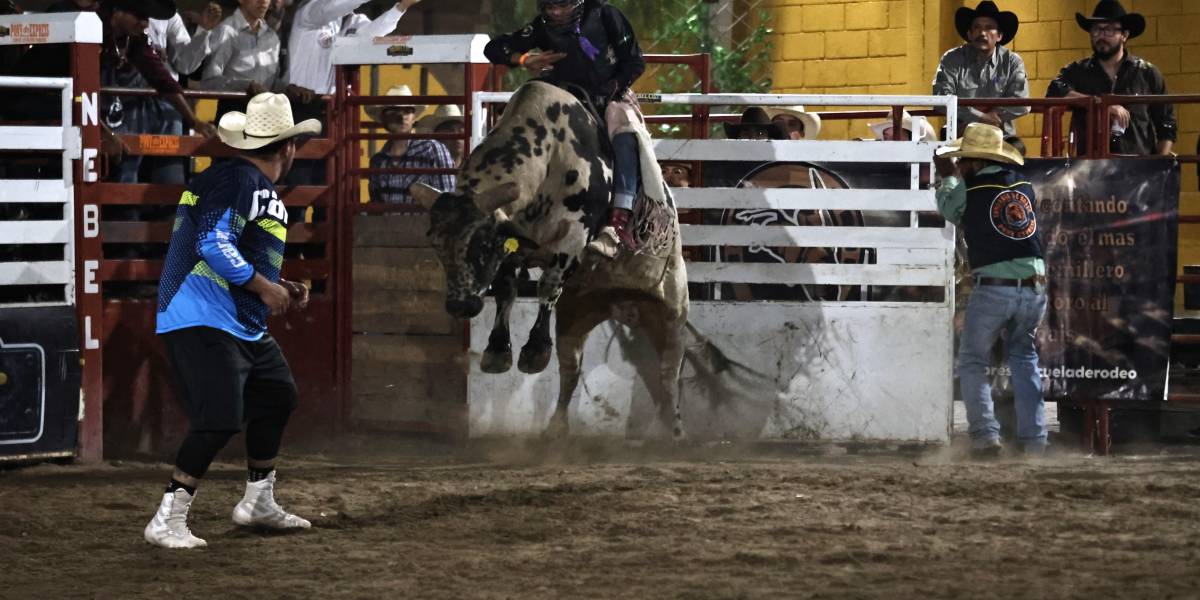 La quinta etapa del Campeonato Nacional de Rodeo se llevó a cabo la tarde del domingo.