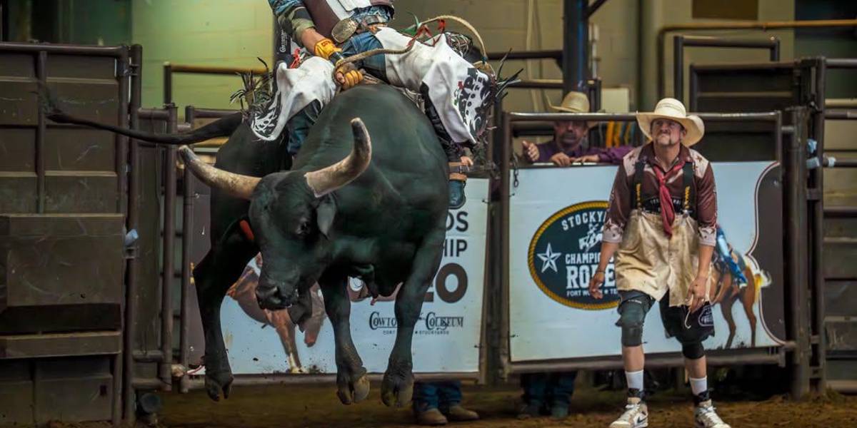 Luis Porto celebró en Texas una importante victoria que confirma el crecimiento del talento coahuilense en el rodeo profesional.