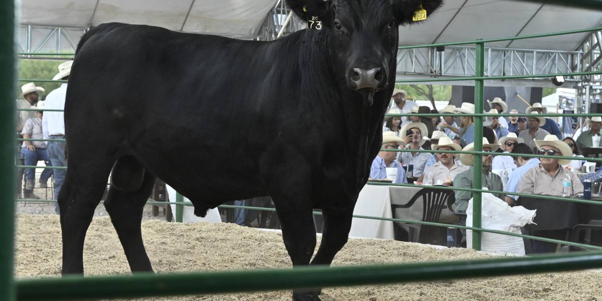 La segunda subasta del Rancho Santa Elena permitió el intercambio comerciales entre ganaderos de Coahuila y otras entidades.