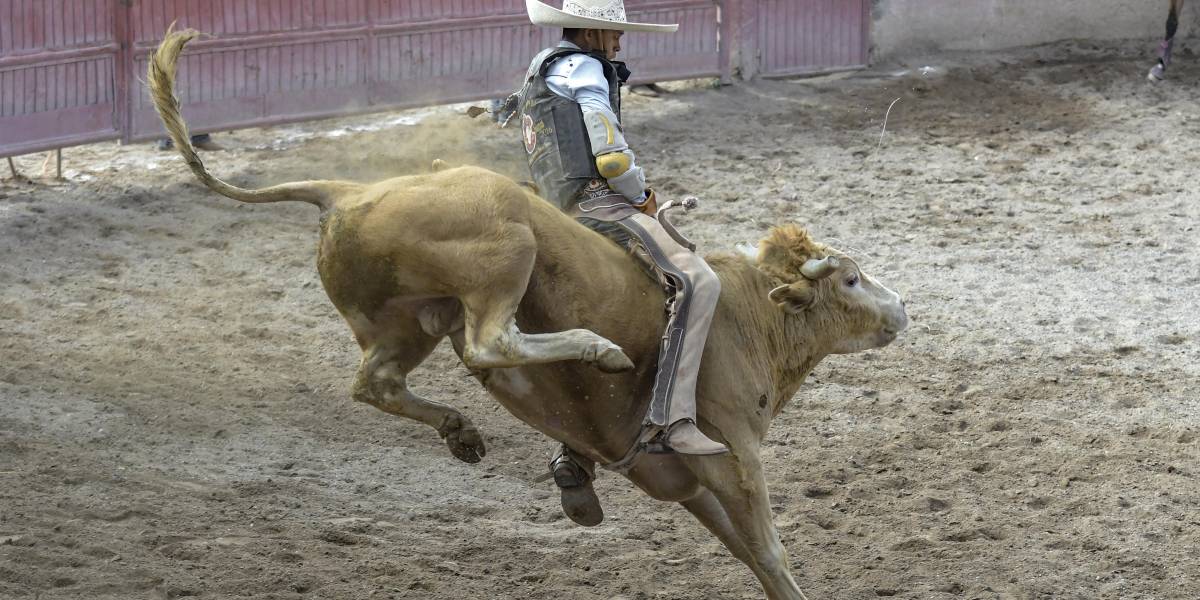 En el Lienzo Charro El Cortijo se realizó el Campeonato Charro Guadalupano que ofreció tres días de emociones con cada suerte.
