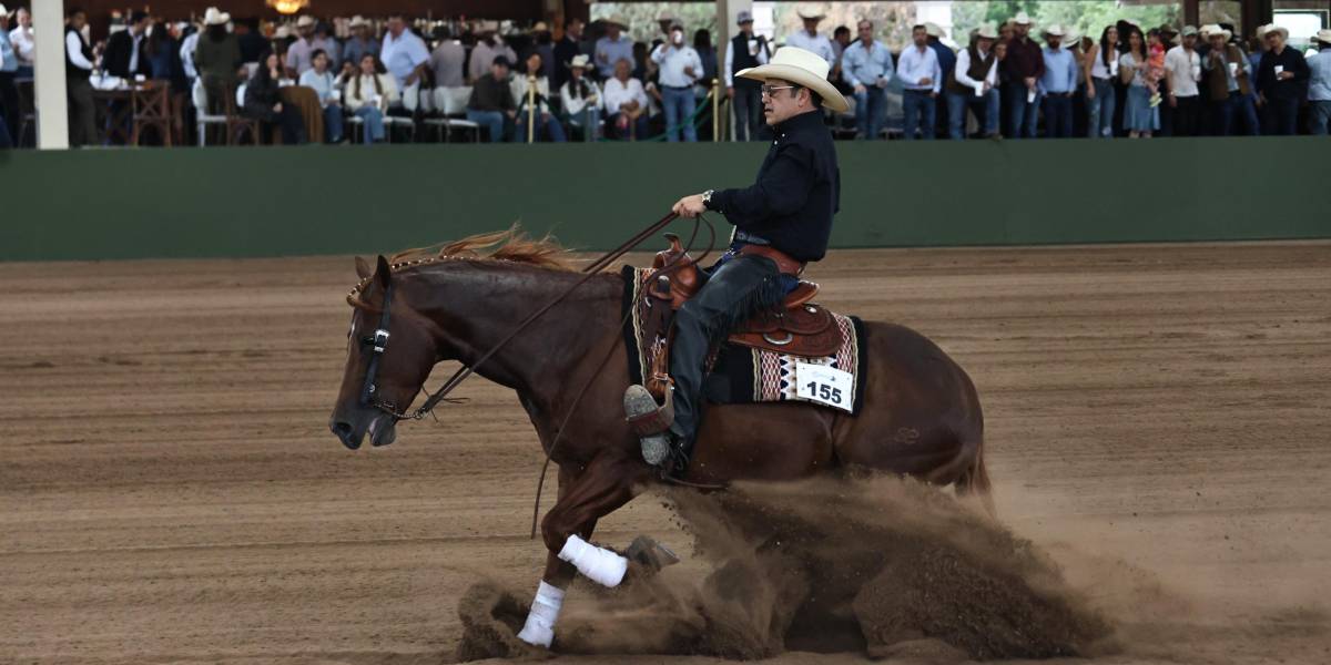 Caballos La Paloma pone a Coahuila en el mapa del reining nacional