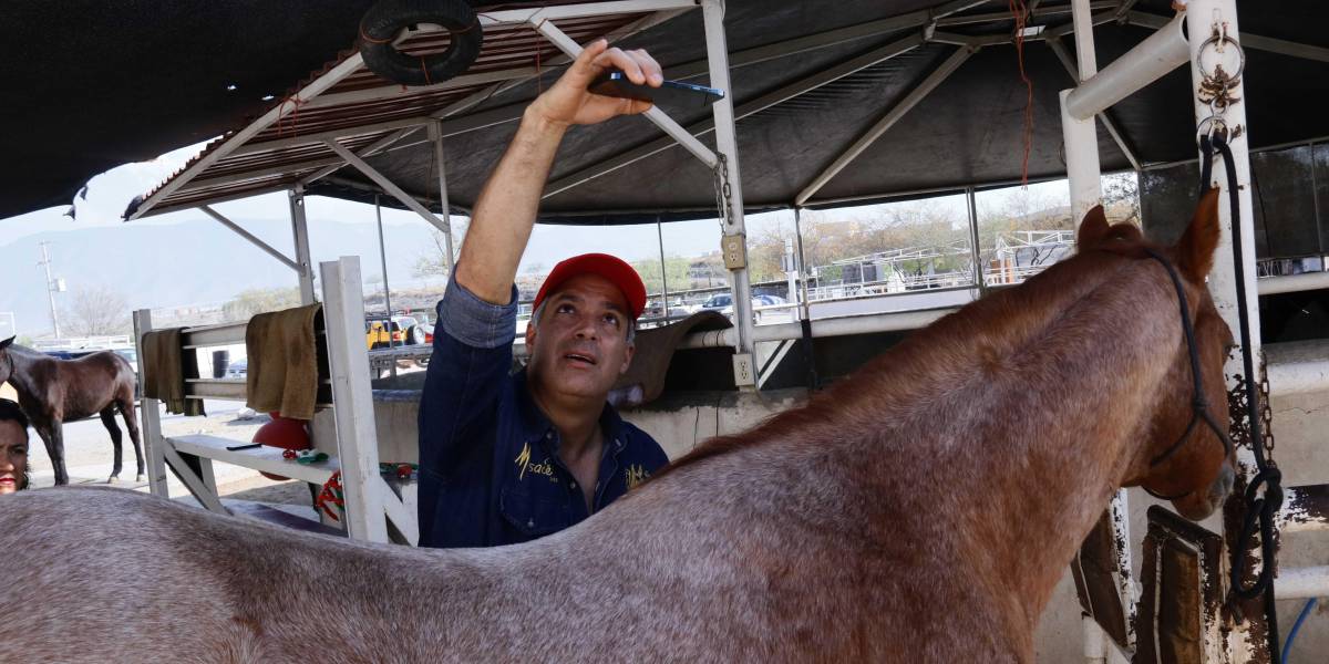 Con una app de celular Felipe González hace posible garantizarle a un caballo una montura que le dará comodidad y mejor desempeño en competencia.