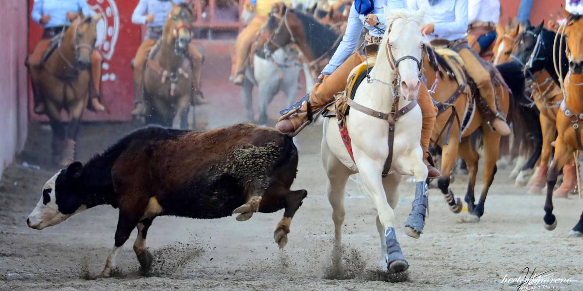 La pasión por las suertes de la charrería no conocen límites ni preferencias, sólo es tradición y orgullo.