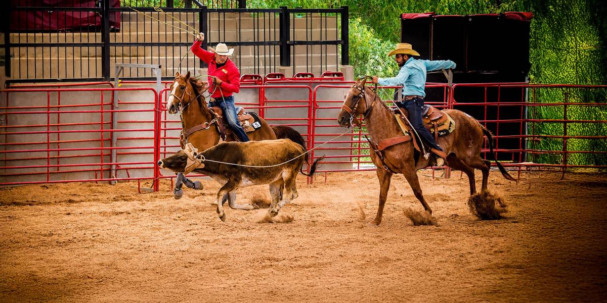 La experiencia acumulada durante años de competencia, hoy Aldo Garibay la convierte en consejos, técnica y disciplina para nuevas generaciones de vaqueros. FOTOS: CORTESÍA ALDO GARIBAY