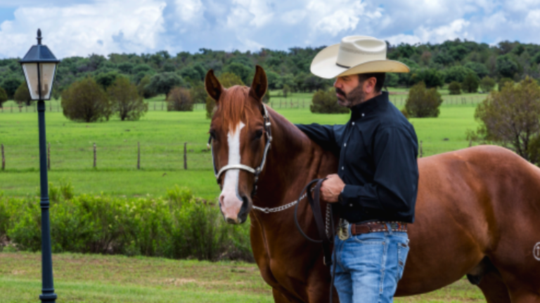 Las Tunas: el rancho mexicano con la mejor remuda AQHA