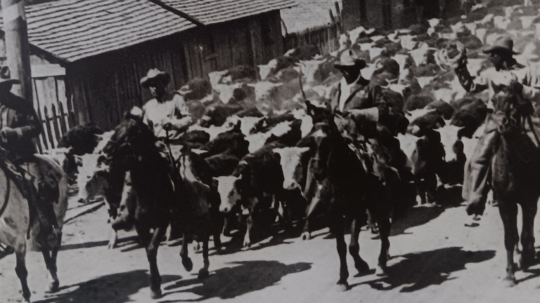 100 años de Múzquiz: reviven histórica arreada, una tradición a caballo