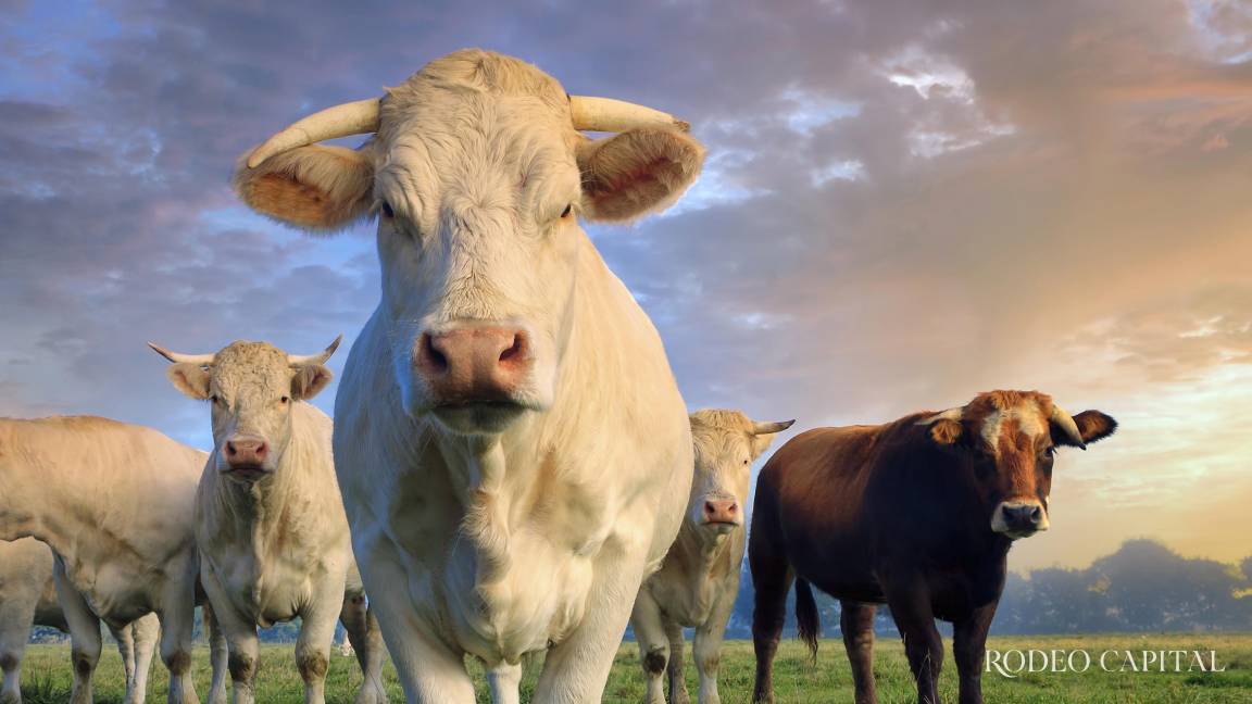 Entre la sequía y la esperanza: El renacer de la ganadería en Coahuila