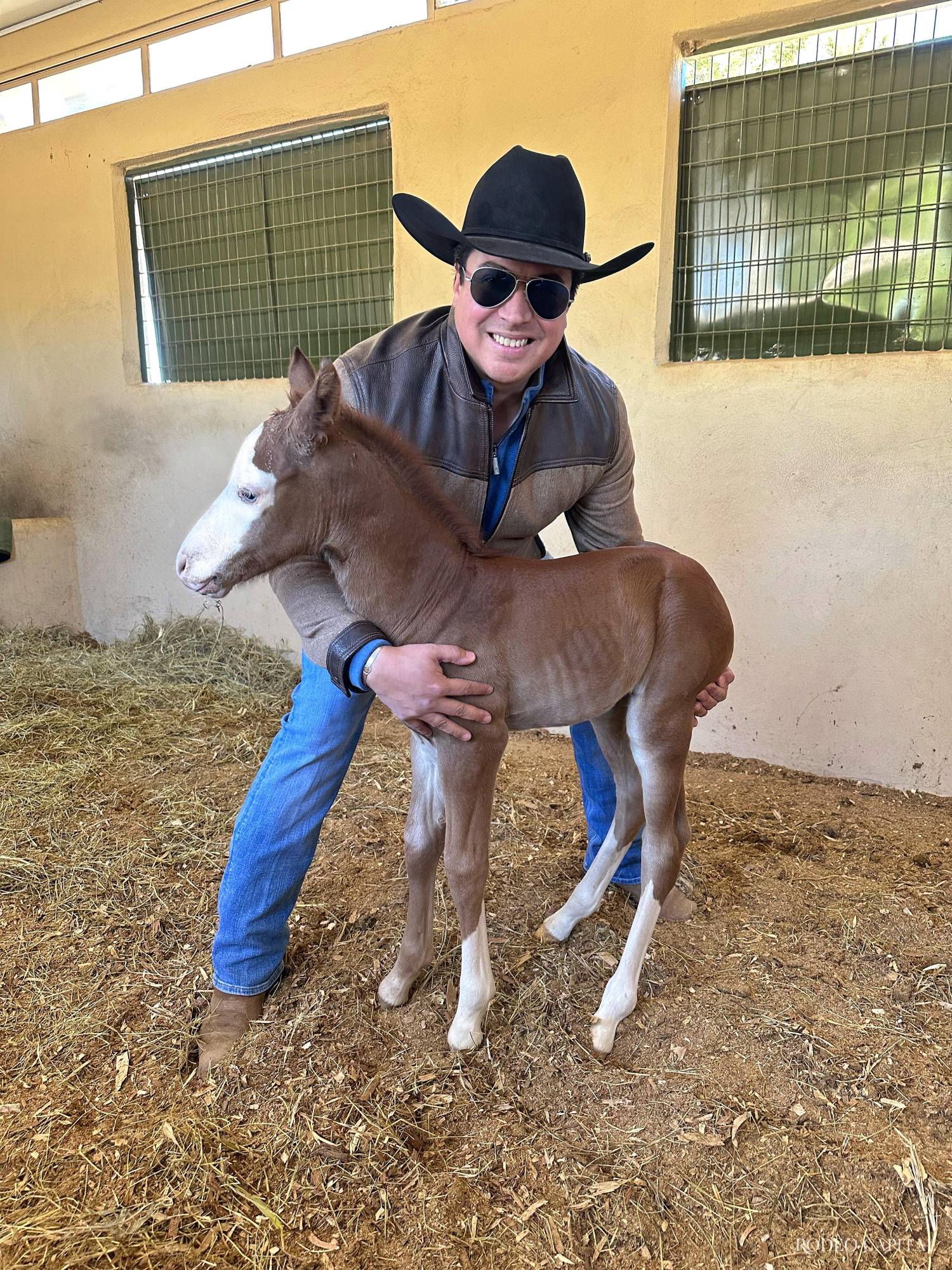 $!Cada ejemplar refleja años de observación, disciplina y respeto por el caballo. FOTO: CORTESÍA ALDO RAMÓN