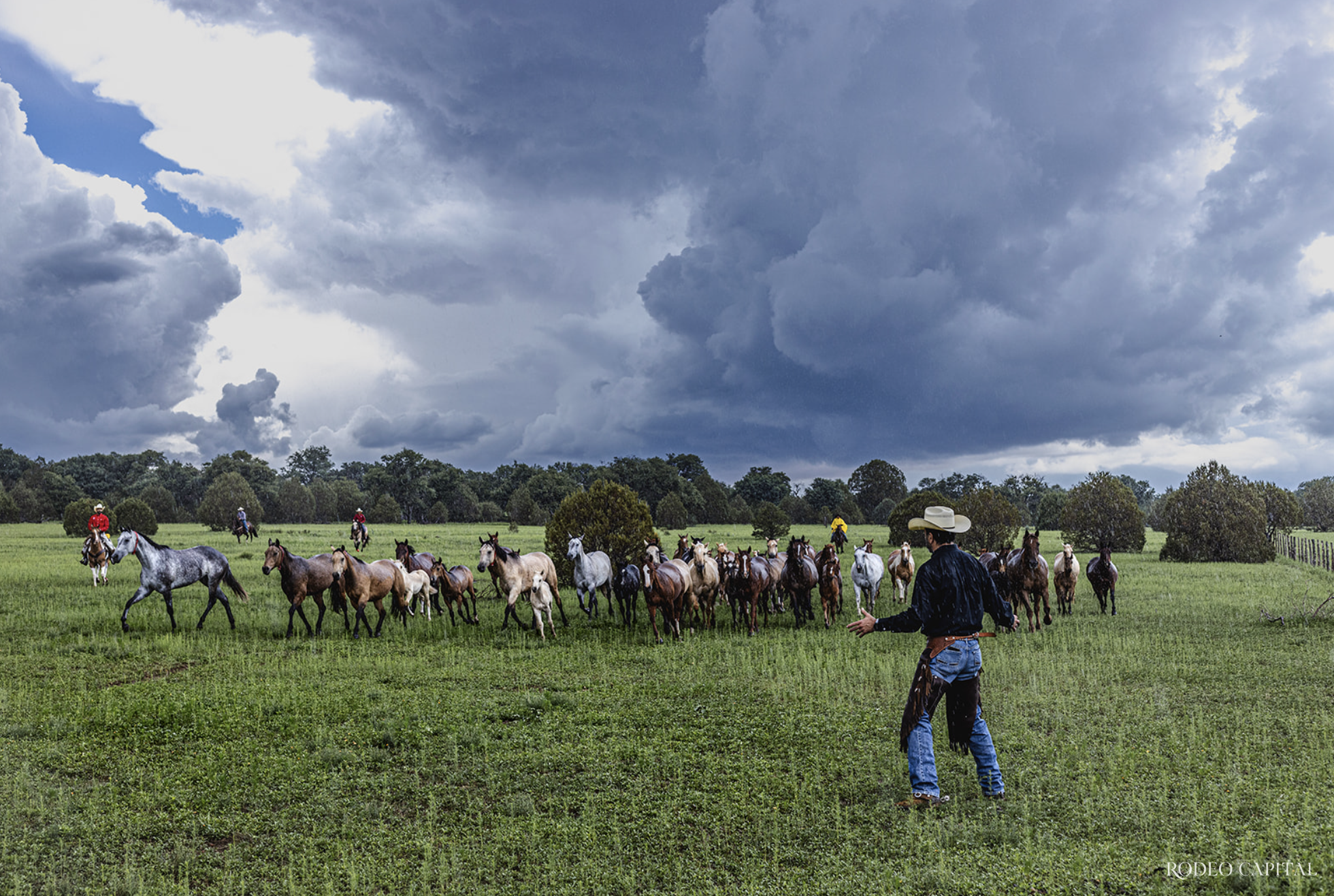 $!El rancho mexicano que conquistó el International Best Remuda Award de la AQHA.
