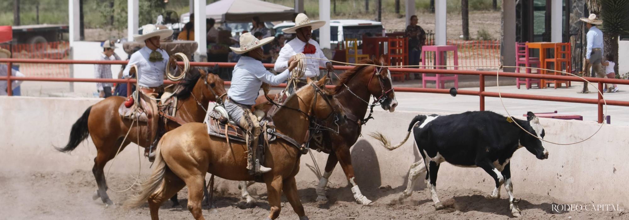 ¡Vuelve la actividad charra! Regresa el Noveno Circuito Charro Coahuilense con su 4ta fase 