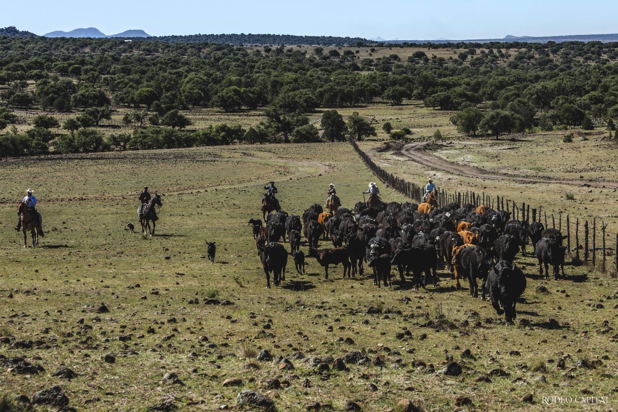 $!Donde antes no había camino, hoy se forja uno de los ranchos más importantes del mundo ecuestre.