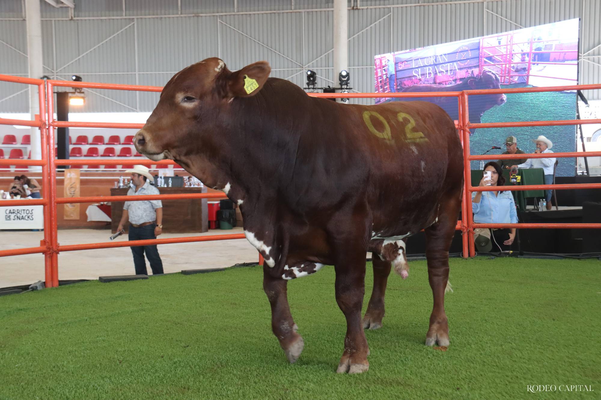 $!Celebran 50 aniversario de Rancho San Juan con ‘La Gran Subasta’