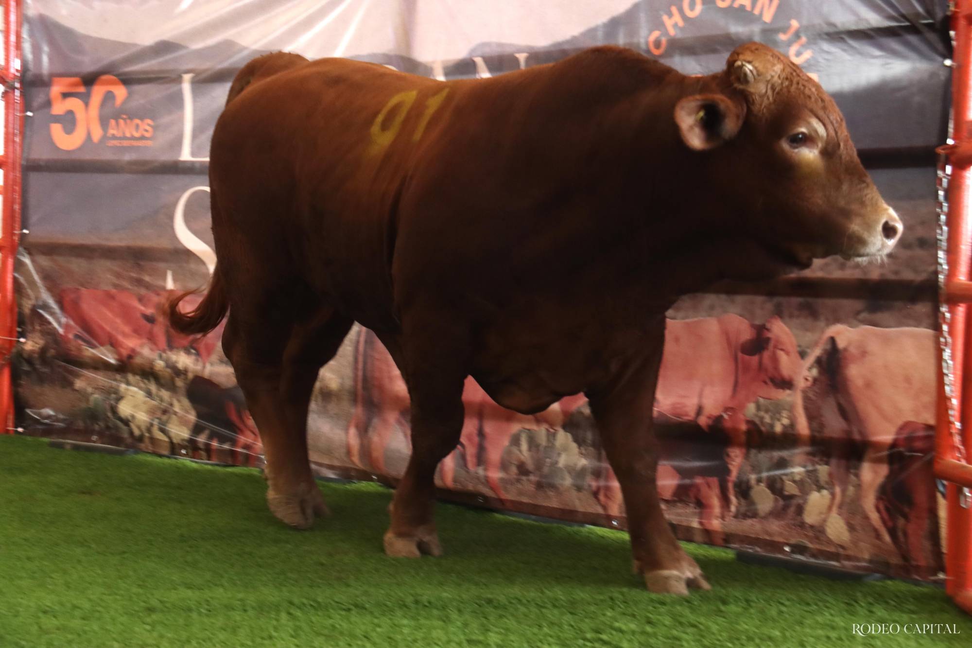 $!Celebran 50 aniversario de Rancho San Juan con ‘La Gran Subasta’