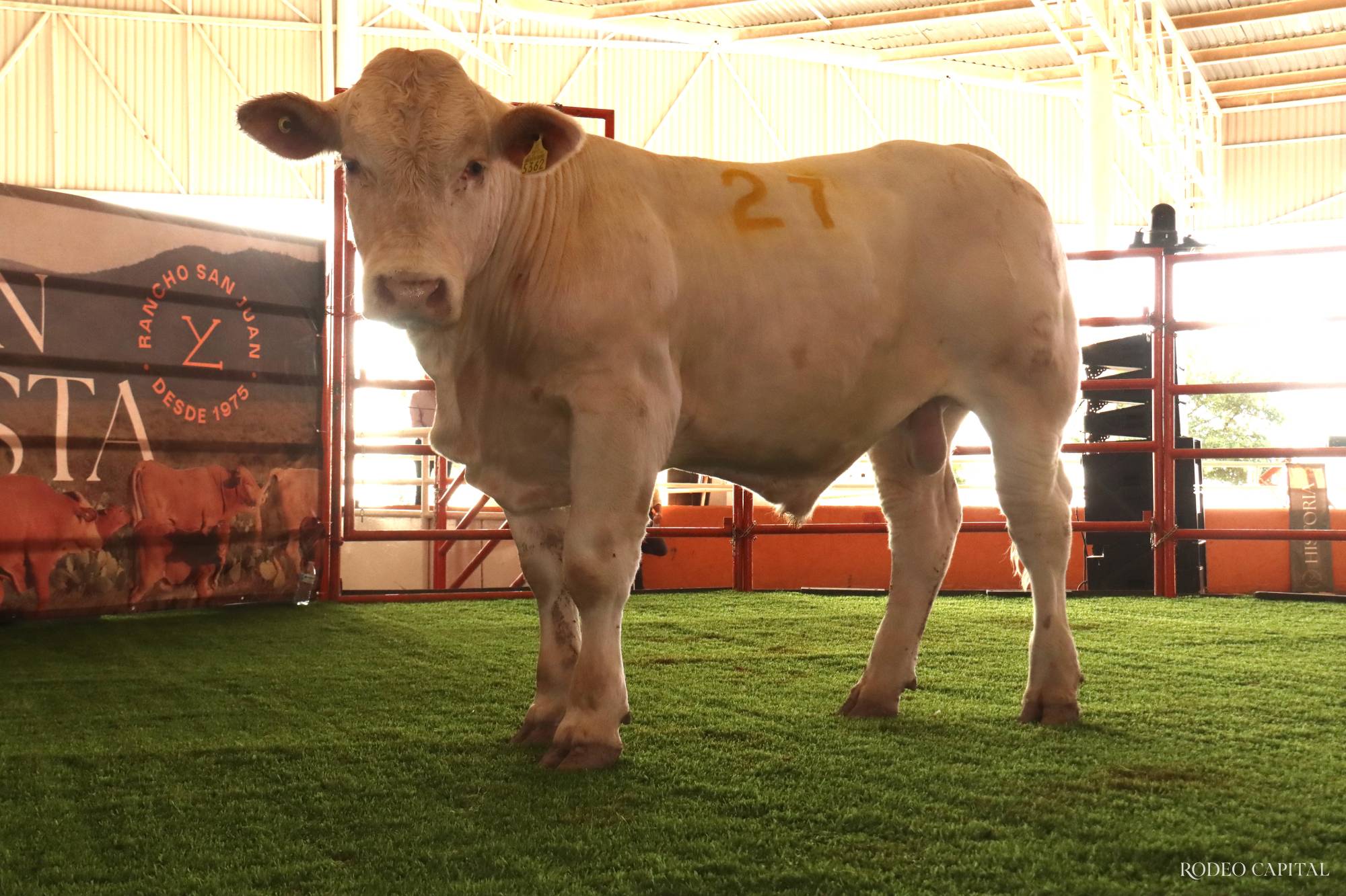 $!Celebran 50 aniversario de Rancho San Juan con ‘La Gran Subasta’