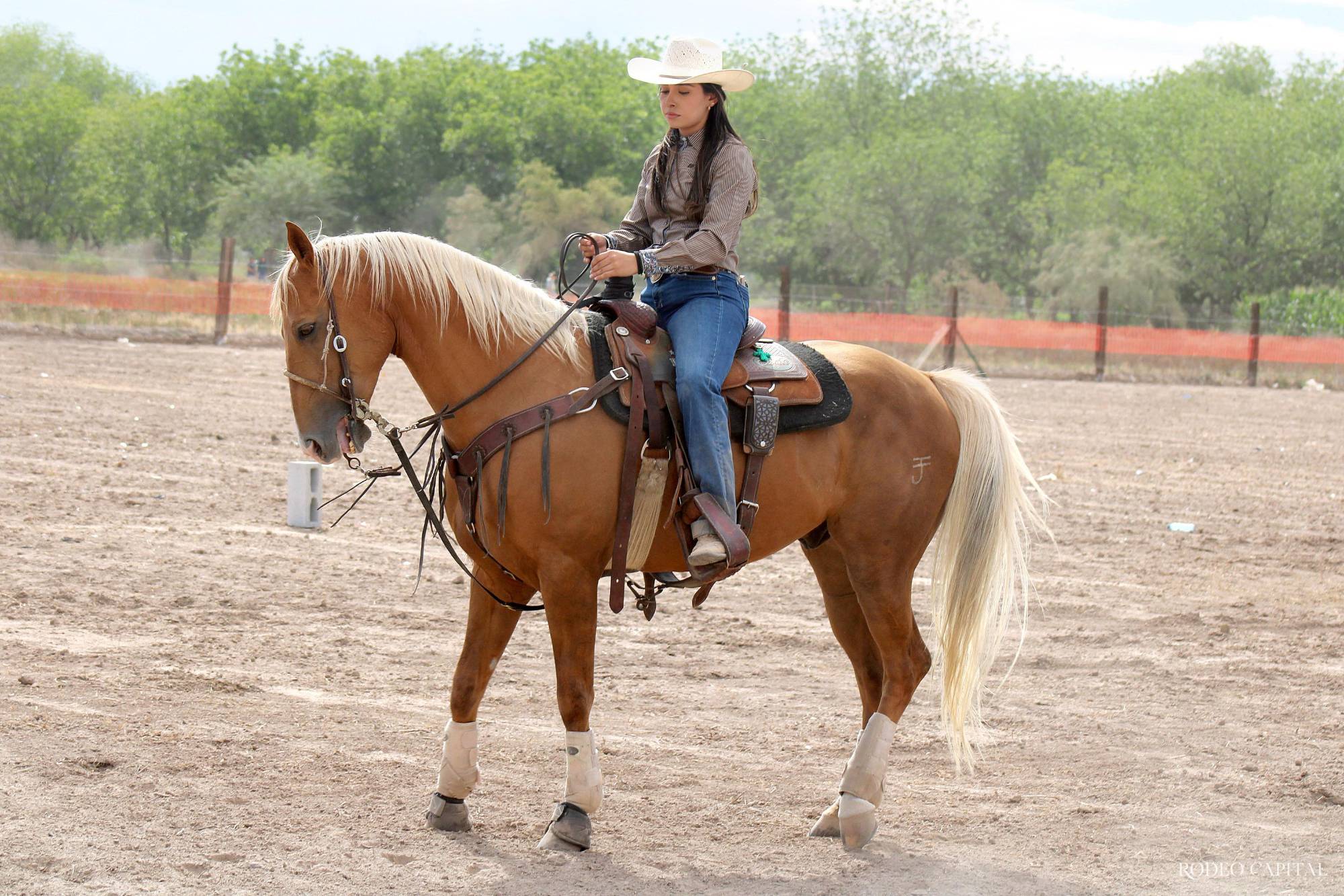 $!Además de competir, Rebeca entrena a “Diésel”, un ejemplar joven con gran potencial. FOTO: FRANCISCO RODRÍGUEZ