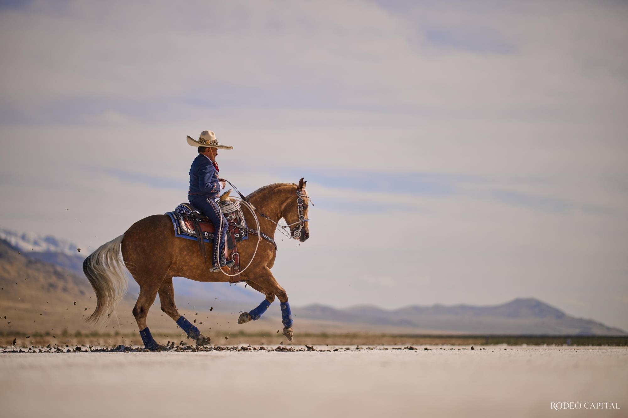 $!Tomás también recuerda a sus caballos más emblemáticos. FOTO: DIEGO HUERTA